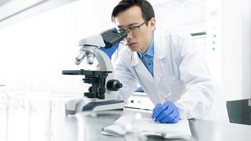 玩具檢測認證 構筑安全防線，驅動行業高質量發展